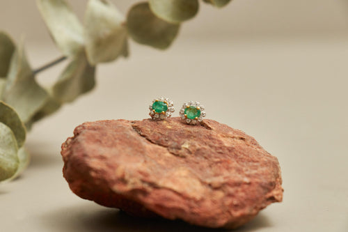 CAMELIA STUDS